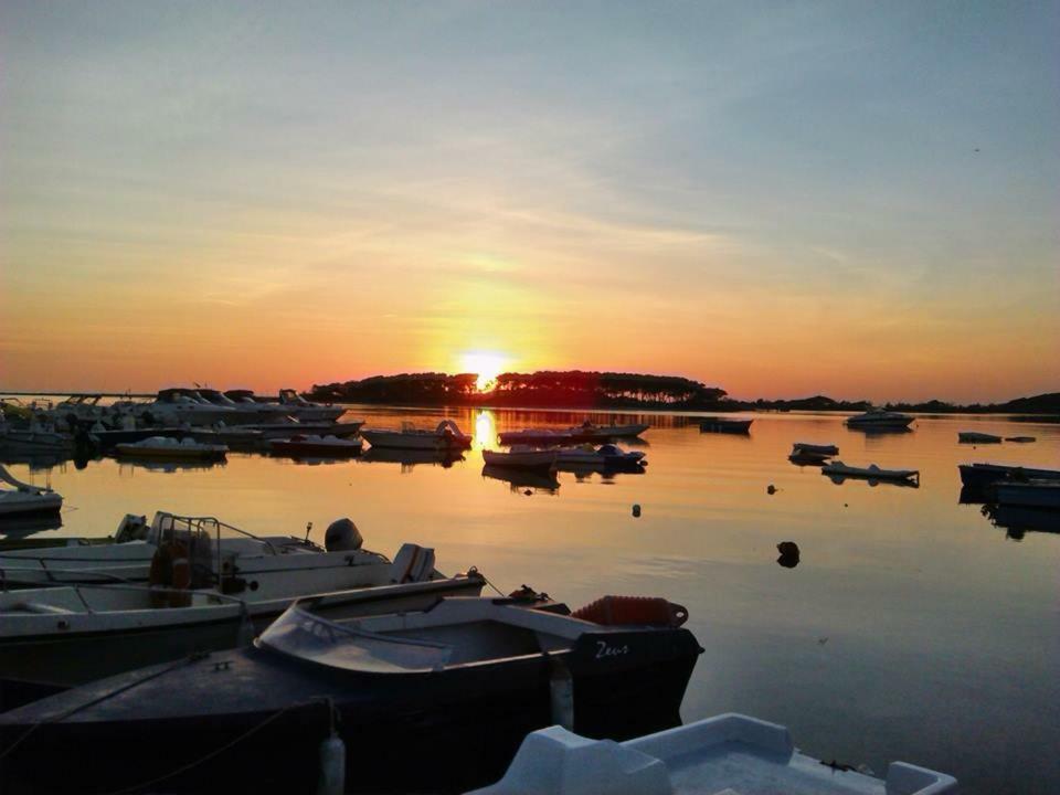 Villa "Franca" Porto Cesareo Dış mekan fotoğraf